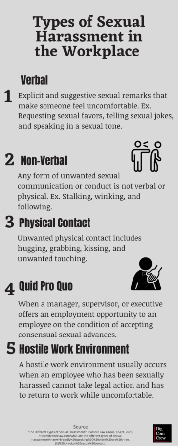 Types of Sexual Harassment In The Workplace (Infographic)