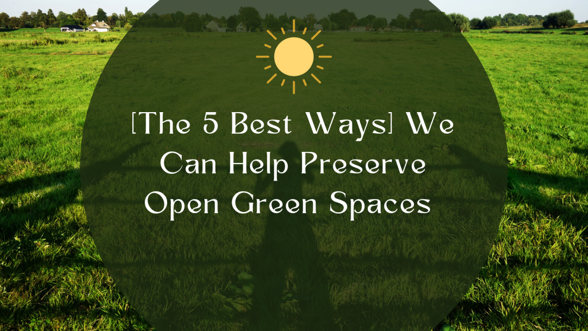 Why Open Green Spaces are important and need to be perserved
