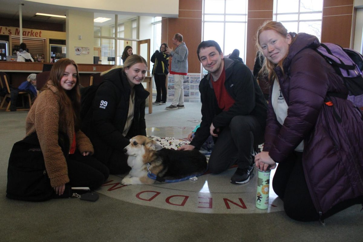 Elizabeth Bathe, Madisson Ronn, Bryan Plonski, and Sara Wojciechowski enjoy the company of therapy dog and "office snoopervisor" Mr. Smart T. Pants. 