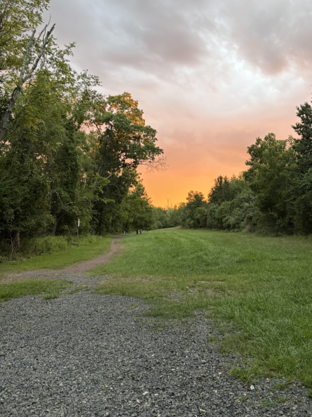 Practicing Mindfulness Through GMercyU's Hidden Escape